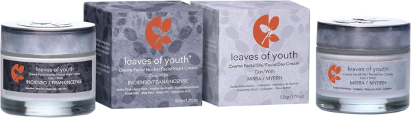 微信图片_20251216160844_142_7